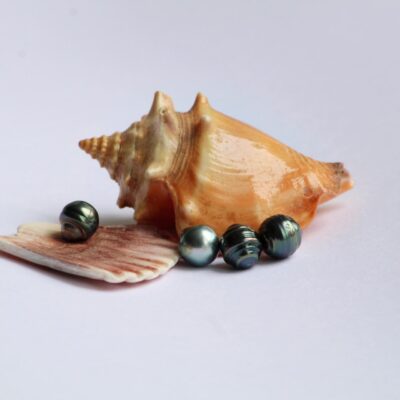 Perlas de Tahití grado D junto a una caracola