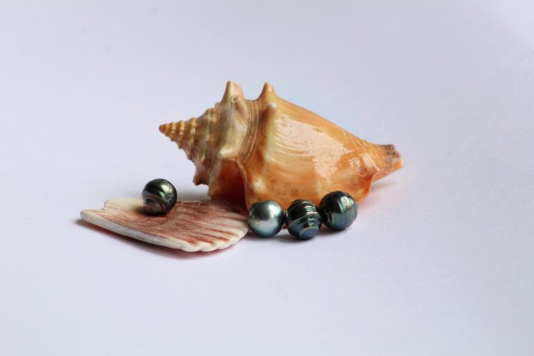 Perlas de Tahití grado D junto a una caracola