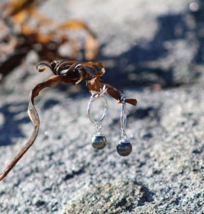 Aros de plata con perlas negras de Tahití colgados de un alga sobre roca