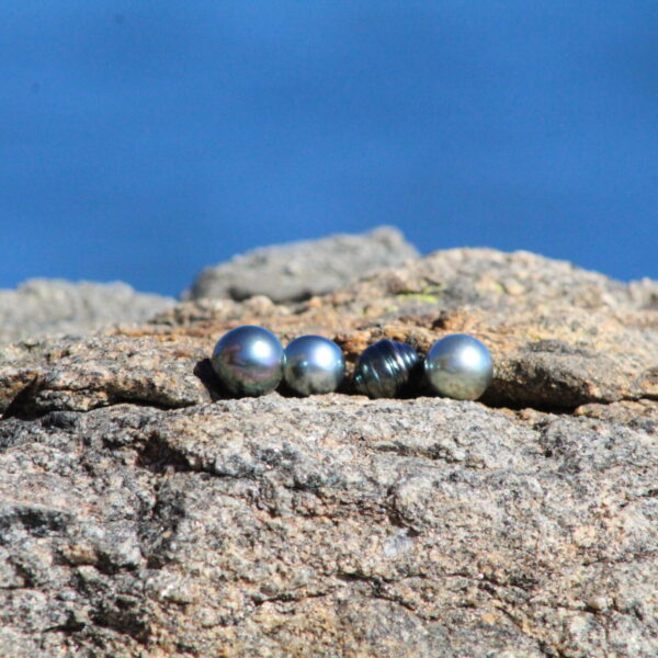 Perlas de Tahití grado B alineadas sobre una roca frente al mar