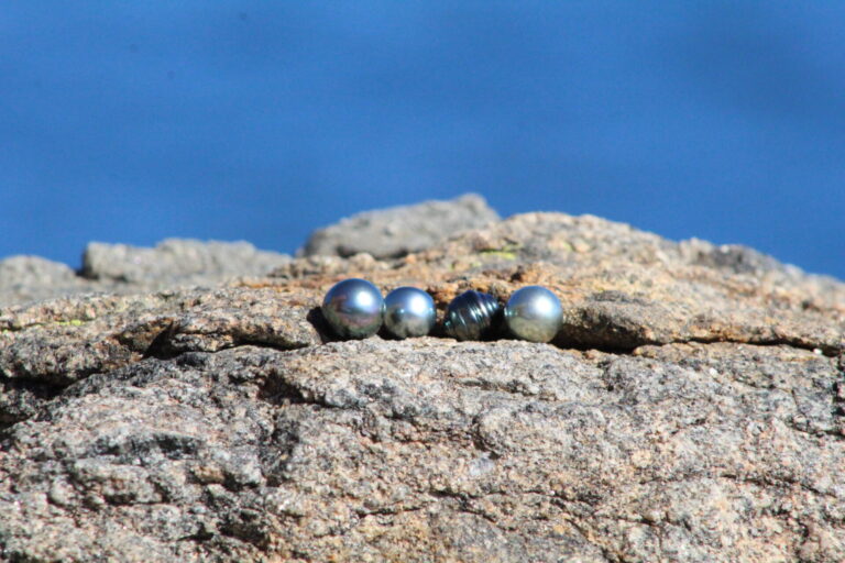 Perlas de Tahití grado B alineadas sobre una roca frente al mar